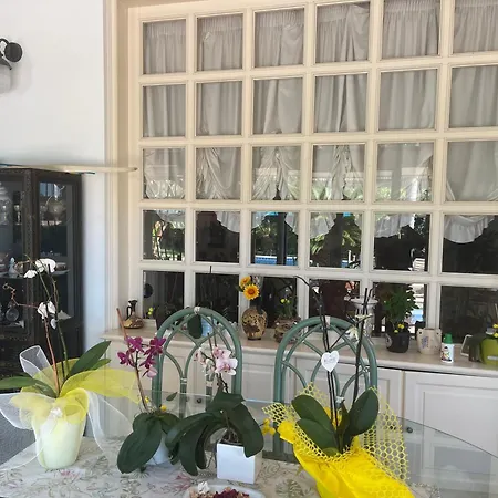 Villa Oasi Di Blu A